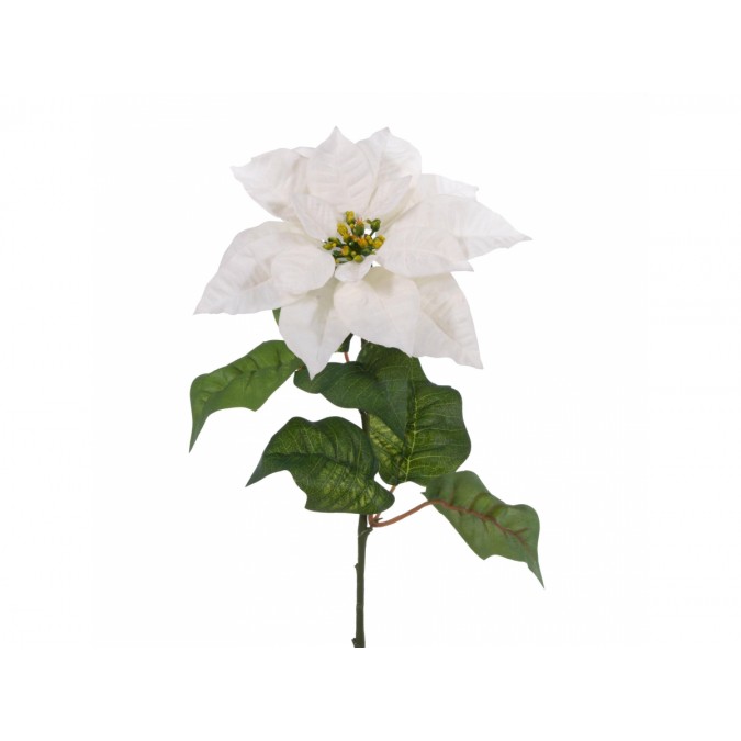 Cream Poinsettia 84 cm